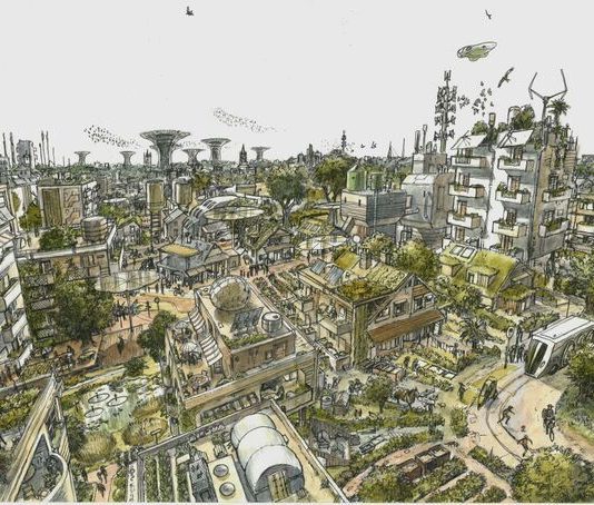 Transicions mentals per a avançar en la transició ecosocial
